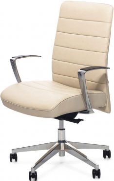 Profoffice Stripe B
