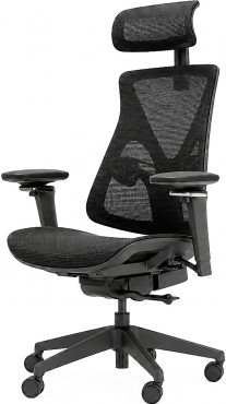 Healthy Chair Balance