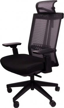 Healthy Chair S6
