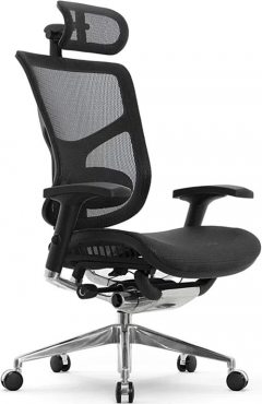 Expert Star Ergo