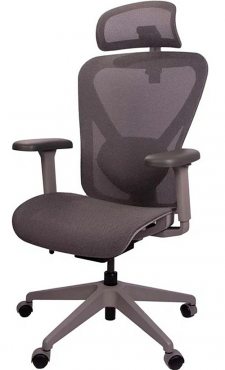 Healthy Chair Q1 Mesh