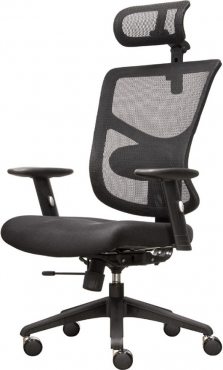 Expert-2 Star Office Ergo