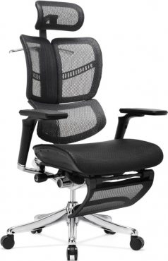 Expert-2 Fly Legrest