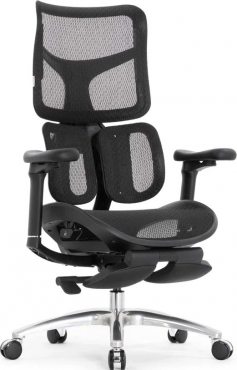 Sihoo Doro S100
