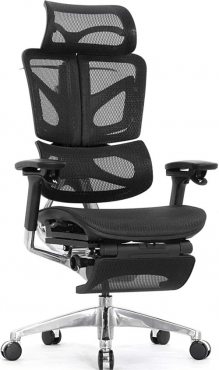 Falto Ergo Premium