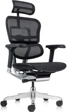 Ergohuman Elite 2