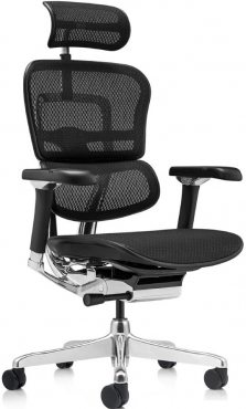 Ergohuman Luxury 2