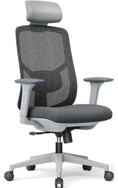 Sitzone YNG CH-523A