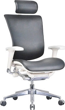 Expert Star Leather