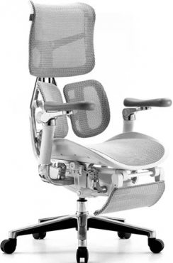 Sihoo Doro S300