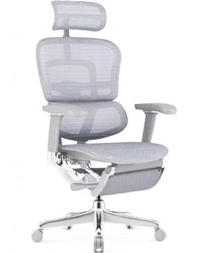 Ergohuman Luxury 2 SE Legrest