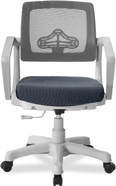 Synif Robo C-250