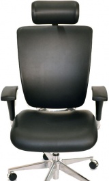 Expert Spring Leather