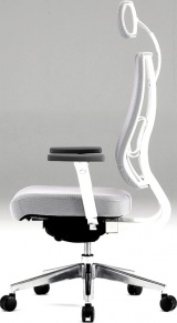 Falto X-Trans