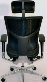 Expert Star Leather